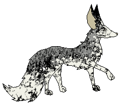 Krash (Breeding)