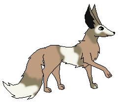 Marshmellow (Breeding)