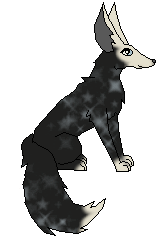 Nightstar (Breeding)