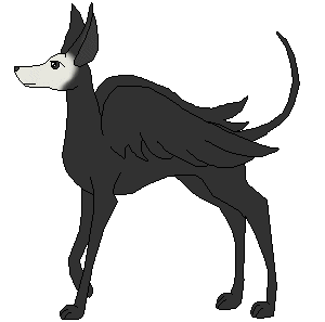 Phantom (Prize)