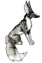 Shadow (Breeding)