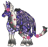 Shifra (Breeding)