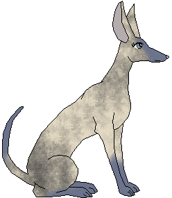 Shiva (Adoption)