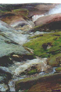 hotwater.jpg (64335 bytes)
