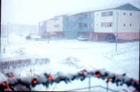 snowgrafarvog.jpg (38524 bytes)