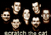 Scratch The Cat