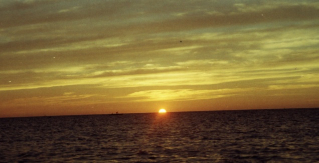 silhouette