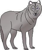 a wolf, by Faye