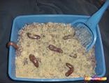 Kitty Litter Cake-9