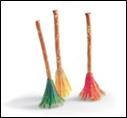 Witches Brooms-10