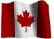 3D Animated Flags by Crames Studios - WE ARE 3D