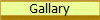 Gallary