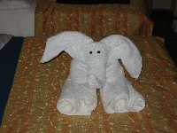 Fred the towel elephant