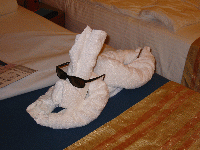 Sam the cool towel animal