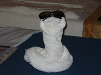 Snake animal towel