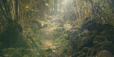 Hiking photo link