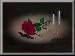 In Memory . . .