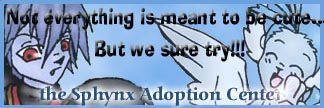 Meowthgal's Sphynx Adoption Center