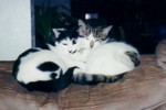 Miscellaneous photos