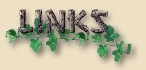 MORE LINKS
