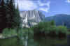 377042.JPG (61745 bytes)