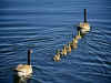 FLEET.JPG (88478 bytes)