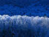 Winter.jpg (105542 bytes)