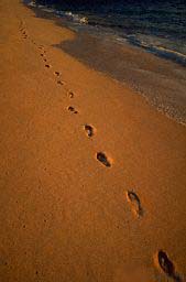 Timeline 1989-2002 � Our Footsteps in the Sand
