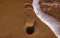 Icug Footprint