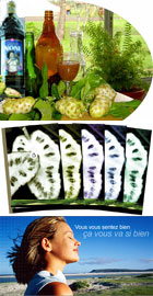 Great Noni