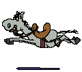 gallopani