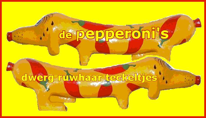 ik wou dat ik twee hondjes was dan kon ik samen spelen