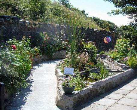 IDEAs sensory garden.