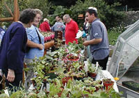 Members of the community enjoying the IDEAs garden.