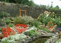 Section of the IDEAs Garden