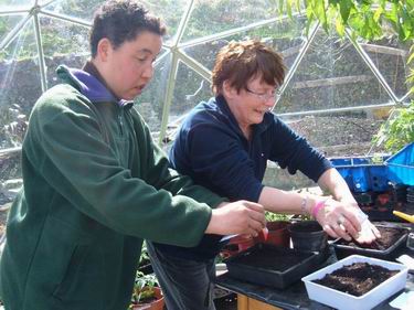 An IDEA Member and support worker planting seeds
