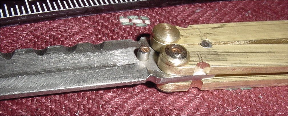 Shows Hinge Details