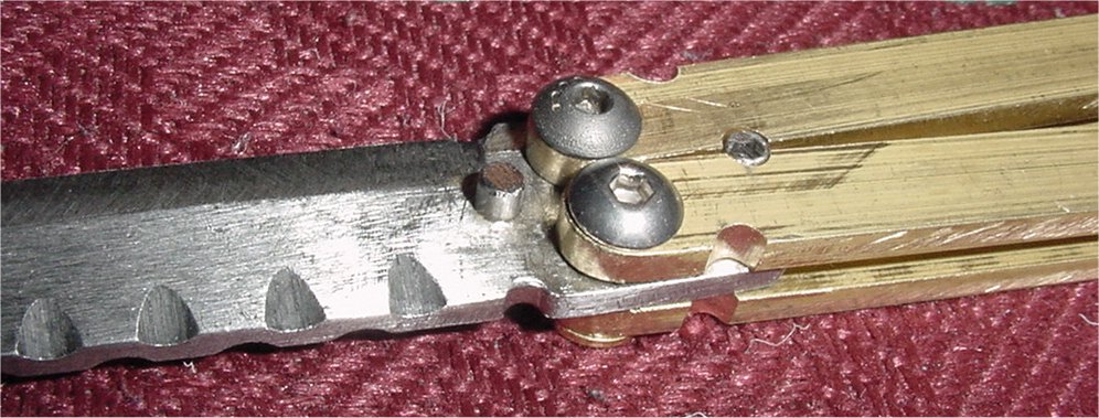 Shows Hinge Details