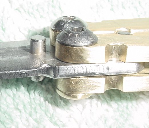 Shows Hinge Details