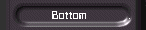 Bottom Game Slot Button