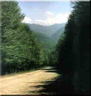 Golestan