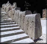 Persepolis_Apadana_Persian_Quiver_Lance