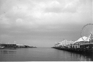 The Navy Pier Chicago