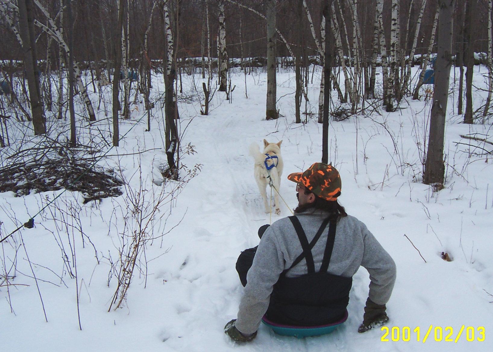 Heading out on chores, with Ivory pulling.