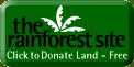 Save the Rainforests for Free