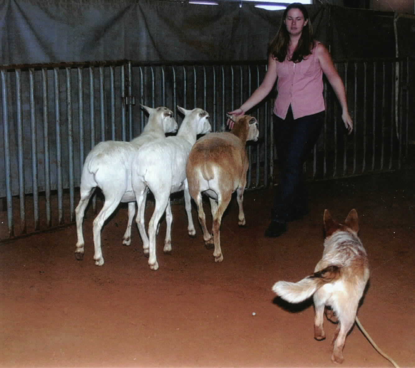 October 2003