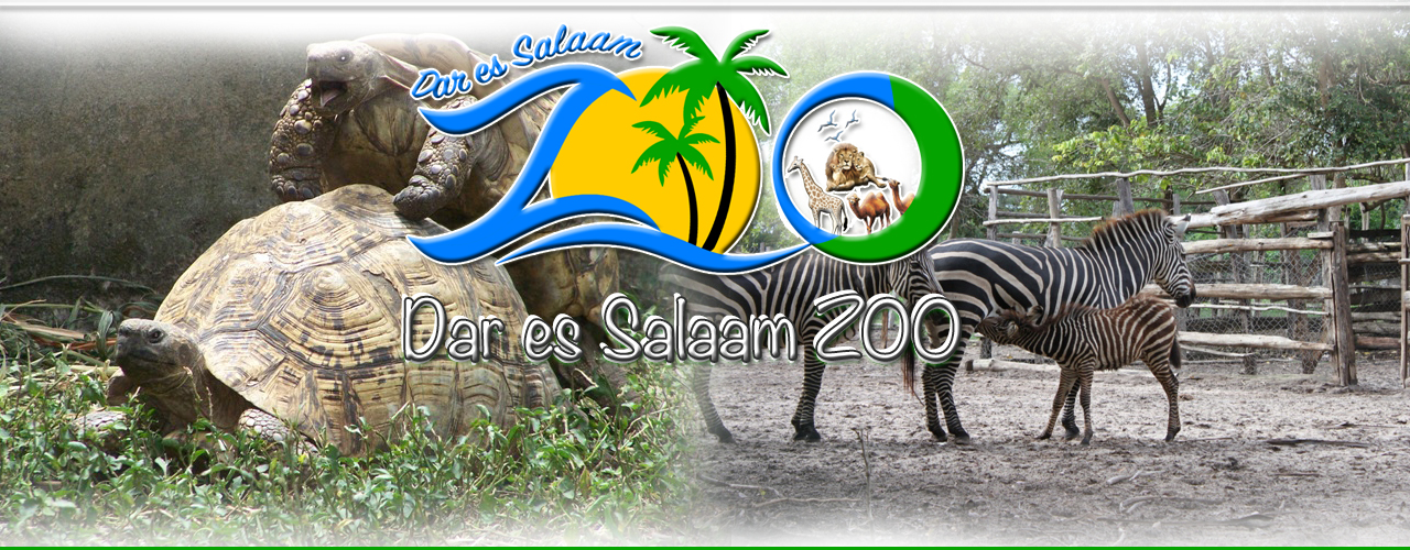 Homepage Banner