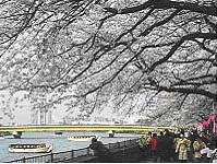 IEM G&S Technical Delegation to Japan 2005