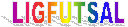LIGFUTSAL