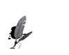 inicio.gif (5850 bytes)